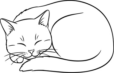 Cute Sleeping Cat Outline Illustration Vector © hanz