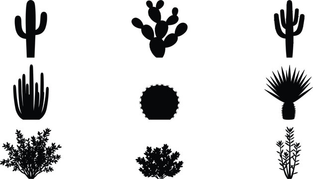 Black Cactus and Desert Plant Silhouette Vector Set with Saguaros, Agaves, and Spiny Shrubs for Botanical Patterns, Landscape, and Wild West Designs