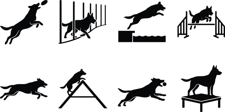 Dog agility training and active sports black silhouettes set including jumping hurdling running catching disc and dock diving icons