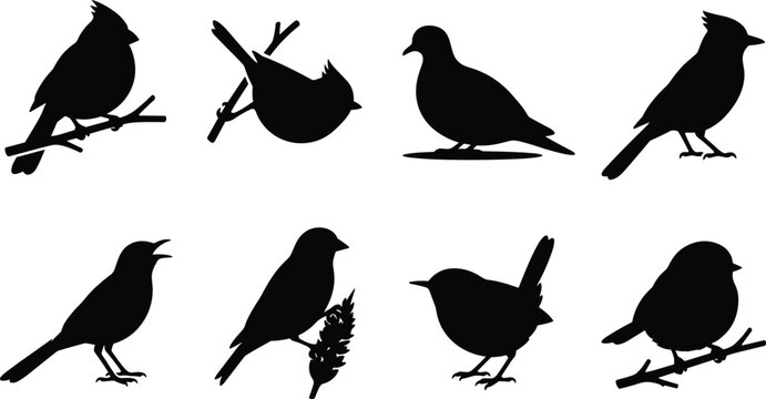 Songbirds and wild birds black silhouettes set including cardinal blue jay sparrow robin and dove on branches icon vectors