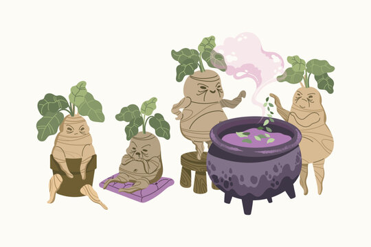 Mandrake root characters brewing magic potion in witch cauldron set