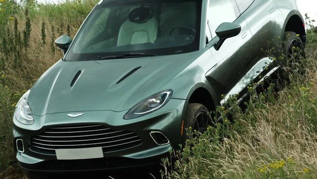 Aston Martin DBX, English luxury SUV. car in the grass