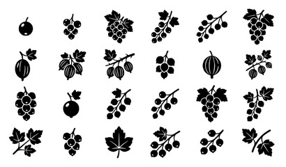 Botanical currant berry icon collection with leaves branches and fruit silhouette vector symbols isolated on white background © MstNazma