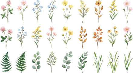 Naklejka premium Watercolor wildflower and foliage collection featuring diverse botanical elements for decorative design projects and floral stationery layouts