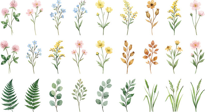Watercolor wildflower and foliage collection featuring diverse botanical elements for decorative design projects and floral stationery layouts