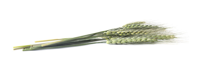 Fototapeta premium Bunch of green wheat spikes isolated on white