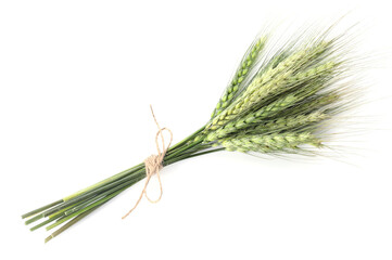 Fototapeta premium Bunch of green wheat spikes isolated on white