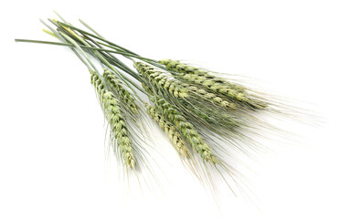 Fototapeta premium Bunch of green wheat spikes isolated on white