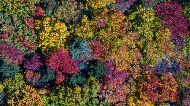 Aerial View Of The Changing Of The Leaves In The North Carolina Mountains