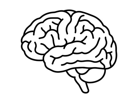 Human brain vector line art illustration, side view minimalist outline icon for medical, psychology, creativity and AI concept.