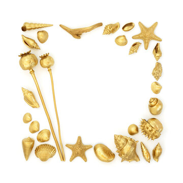 Gold objects decorative background border on white. Selection of seashells, driftwood, plants. Natures luxury beauty abstract gilded design for greeting card.