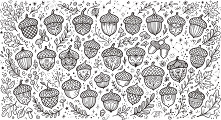 Set of hand drawn acorn illustrations autumn forest nuts sketch with handdrawn botanical illustration vegetation monochrome collection ornament decorative woodland © Kanon Islam