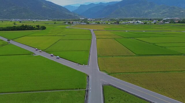 Aerial view of crossroads in green rice fields in Taiwan