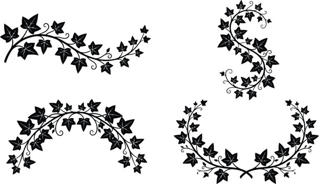 Set of black ivy vine decorative elements with leaves for floral borders and elegant frame designs