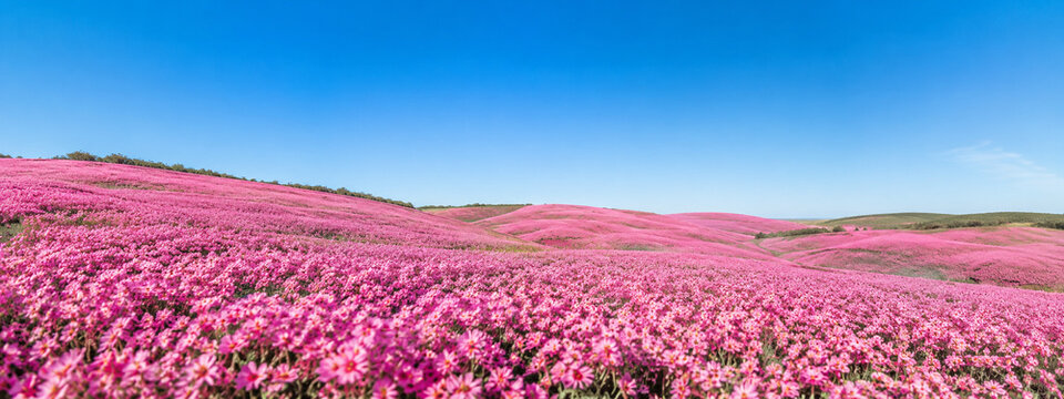 Spring flower sea nature scenery nature scenery natural marketing
