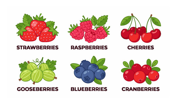 Colorful Cartoon Berry Fruit Set Strawberries Blueberries Cherries and Raspberries Vector Illustration