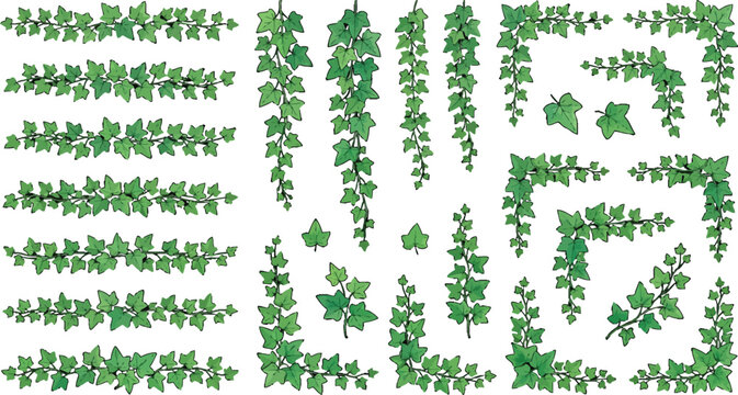 Watercolor ivy vine borders and corner frames collection for decorative page layouts and botanical design elements