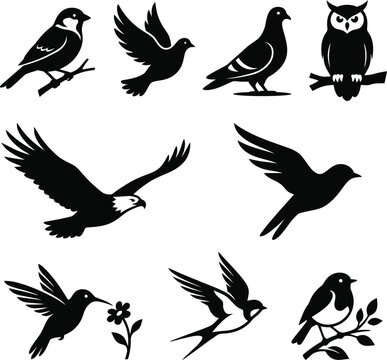 Flying Bird Silhouettes Collection on White Background Minimalist Black Design