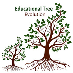 Fototapeta premium Educational tree evolution diagram showing a small sapling and a large tree with detailed brown roots and green leaves on white