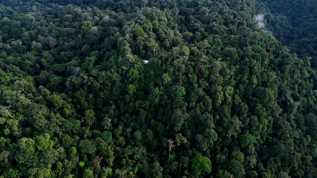 Drone View of Dense Tropical Rainforest Hill in Ecuador, Layered Green Canopy, Remote Amazon Wilderness and Biodiversity Conservation Background