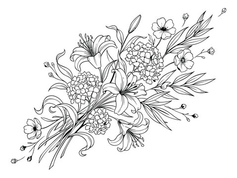 Line art illustration of a floral bouquet depicting lilies hydrangeas and wildflowers for wedding and botanical design