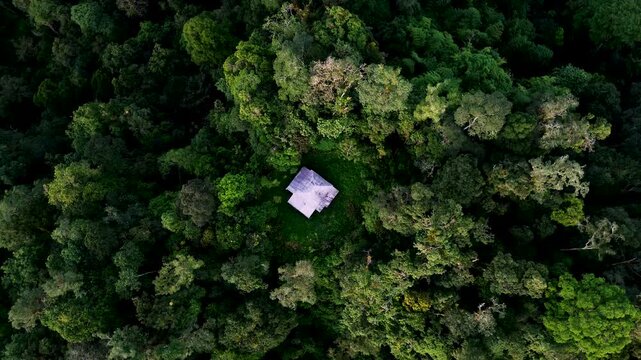 Top Down Drone View of Small Roof Hidden in Dense Ecuador Rainforest, Remote Jungle Shelter, Green Canopy and Tropical Wilderness Landscape