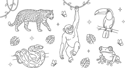 Jungle wildlife vector icon bundle featuring black outline leopard monkey chimpanzee toucan bird coiled python snake monstera leaves and tree frog on white background. © MDHELAL