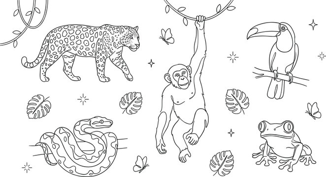 Jungle wildlife vector icon bundle featuring black outline leopard monkey chimpanzee toucan bird coiled python snake monstera leaves and tree frog on white background.