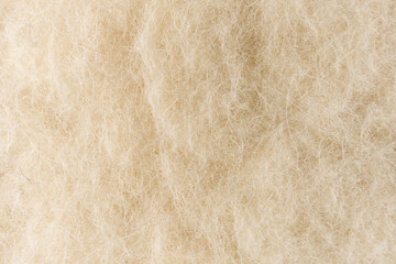 Soft Natural Wool Texture Background With Beige Fibers Close-Up Macro Fabric Surface © Richard