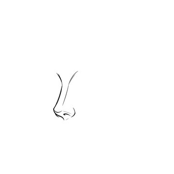 Hand drawn sketch of straight female nose on dummy head isolated on white background. Technical line art.