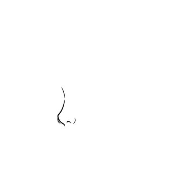 Hand drawn sketch of stylized small female nose on dummy head isolated on white background. Technical line art.