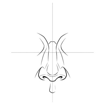 Hand drawn sketch of wide flat female nose on dummy head isolated on white background. Technical line art.