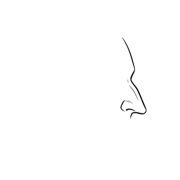 Hand drawn sketch of hawk nose on dummy head isolated on white background. Technical line art.