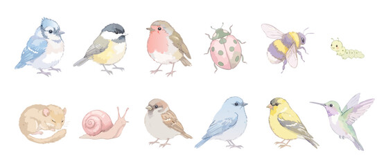 Fototapeta premium Watercolor birds and garden animals set of cute isolated woodland wildlife illustrations including robin bluebird ladybug snail and hummingbird in soft pastel paint style for nursery design.