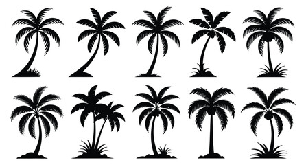 Fototapeta premium Collection of diverse black silhouette palm trees with coconuts and fronds isolated on transparent background