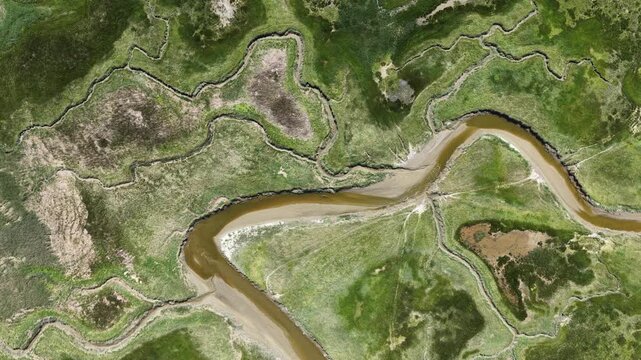 Aerial top down view of a meandering river in a green marshland
