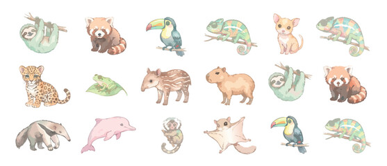 Fototapeta premium Watercolor cute jungle animals clipart set featuring sloth, red panda, toucan, capybara, chameleon, pink dolphin. Isolated exotic tropical wildlife illustration on white background for nursery design.
