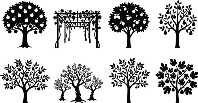 Fruit trees silhouette icon set including apple pear lemon olive cherry fig and grape pergola isolated on white background