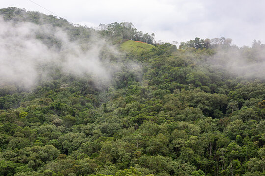 Vista a&eacute;rea de montanha com floresta tropical densa sob n&eacute;voa em S&atilde;o Pedro de Alc&acirc;ntara, Santa Catarina, Brasil.