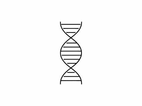 DNA double helix structure line icon genetics molecular biology genetic code molecule