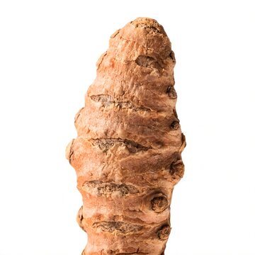 Single dried ginger root rhizome isolated on clean white background