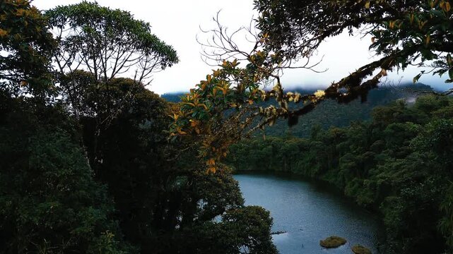 Hidden Rainforest Lake in Ecuador Framed by Dense Jungle Trees, Misty Hills, Dark Water and Remote Tropical Nature Travel Landscape