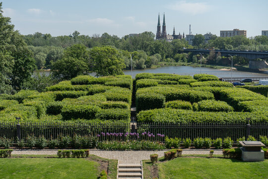 Lush green hedge maze in Warsaw Royal Gardens on a sunny day. Picturesque view of the Vistula River, city bridge, and cathedral towers in the background. Scenic European urban park landscape.