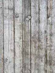 Fototapeta premium Woody doors