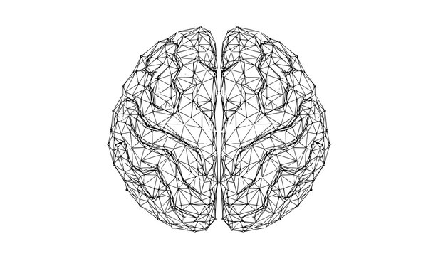 Polygonal brain illustration low poly vector design neurological concept