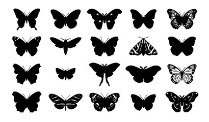 Butterfly and Moth Silhouette Bundle Vector with Nature Insect Icon Set © Mst.Razia