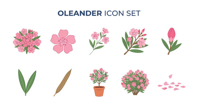 Pink oleander vector icon set with flowers and leaves