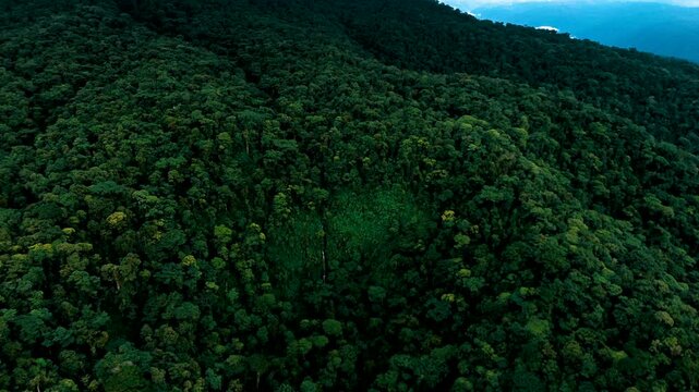 Aerial View of Steep Tropical Rainforest Slope in Ecuador, Dense Green Canopy, Mountain Forest and Remote Amazon Wilderness Nature Background