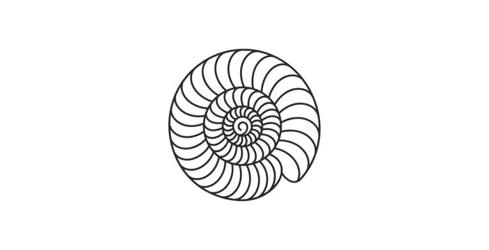 Minimalist Ammonite Fossil Shell Vector Illustration