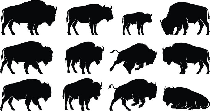 Bison Silhouette Collection in Various Poses for Wildlife, Nature, and Animal Design Illustrations